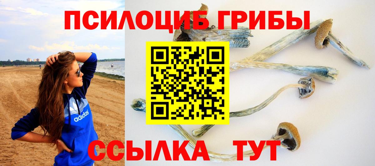 Псилоцибиновые грибы прущие грибы Тихвин