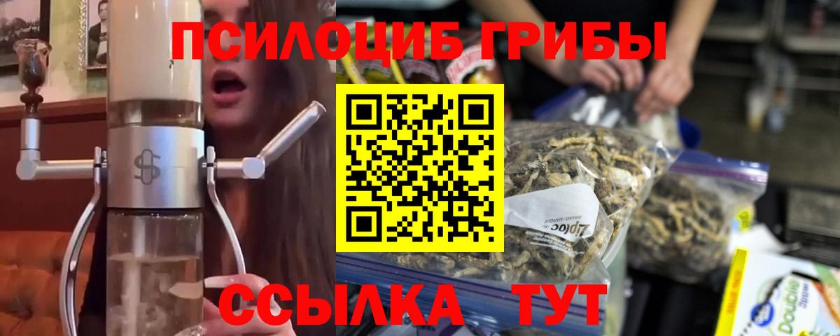 Псилоцибиновые грибы мухоморы  Галлюциногенные грибы мицелий  купить наркоту  Тихвин  Вход с VPN 